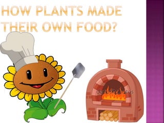 Plants