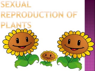 Plants