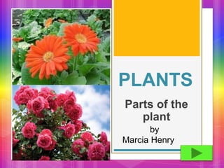 PLANTS
Parts of the
plant
by
Marcia Henry
 