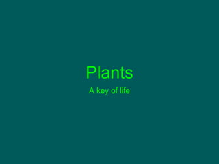 Plants
A key of life
 
