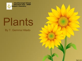 Plants
By T. Gemma Hilado
Visuttharangsi School
Education Hub – SMBP
Subject: Chemistry
 