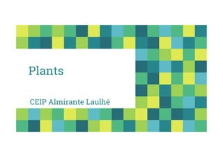 Plants
CEIP Almirante Laulhé
 