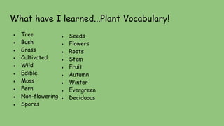 What have I learned...Plant Vocabulary!
● Tree
● Bush
● Grass
● Cultivated
● Wild
● Edible
● Moss
● Fern
● Non-flowering
● Spores
● Seeds
● Flowers
● Roots
● Stem
● Fruit
● Autumn
● Winter
● Evergreen
● Deciduous
 