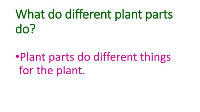 Parts of Plants | PPT