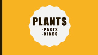 PLANTS
- P A R T S
- K I N D S
 