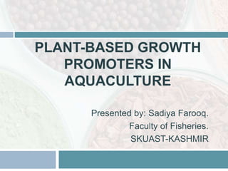 PLANT-BASED GROWTH
PROMOTERS IN
AQUACULTURE
Presented by: Sadiya Farooq.
Faculty of Fisheries.
SKUAST-KASHMIR
 
