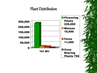 Plant Distribution
0
50,000
100,000
150,000
200,000
250,000
1st Qtr
Flowering
Plants
235,000
Mosses
15,600
Ferns
11,000
Cone
Bearing
Plants 760
 
