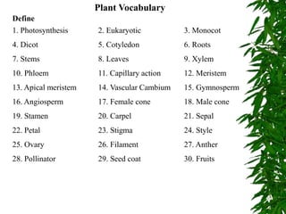 Plant Vocabulary
1. Photosynthesis 2. Eukaryotic 3. Monocot
4. Dicot 5. Cotyledon 6. Roots
7. Stems 8. Leaves 9. Xylem
10. Phloem 11. Capillary action 12. Meristem
13. Apical meristem 14. Vascular Cambium 15. Gymnosperm
16. Angiosperm 17. Female cone 18. Male cone
19. Stamen 20. Carpel 21. Sepal
22. Petal 23. Stigma 24. Style
25. Ovary 26. Filament 27. Anther
28. Pollinator 29. Seed coat 30. Fruits
Define
 