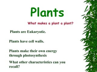 Plants
What makes a plant a plant?
Plants are Eukaryotic.
Plants have cell walls.
Plants make their own energy
through photosynthesis
What other characteristics can you
recall?
 