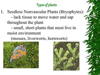 I. Seedless Nonvascular Plants (Bryophytes):
- lack tissue to move water and sap
throughout the plant
- small, short plants that most live in
moist environment
(mosses, liverworts, hornworts)
Types of plants
 