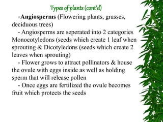 -Angiosperms (Flowering plants, grasses,
deciduous trees)
- Angiosperms are seperated into 2 categories
Monocotyledons (seeds which create 1 leaf when
sprouting & Dicotyledons (seeds which create 2
leaves when sprouting)
- Flower grows to attract pollinators & house
the ovule with eggs inside as well as holding
sperm that will release pollen
- Once eggs are fertilized the ovule becomes
fruit which protects the seeds
Types of plants (cont’d)
 