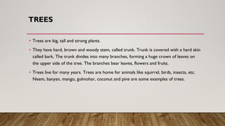 Plants and its parts-types, function, uses , | PDF
