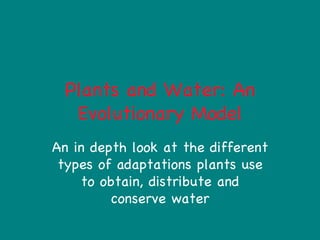 Plants and Water: An Evolutionary Model An in depth look at the different types of adaptations plants use to obtain, distribute and conserve water 