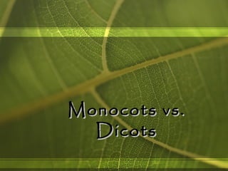 Monocots vs.
  Dicots
 