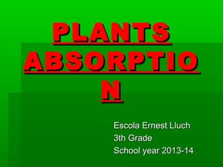 PLANTS
ABSORPTIO
N
Escola Ernest Lluch
3th Grade
School year 2013-14

 