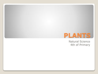 PLANTS
Natural Science
4th of Primary
 