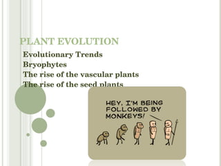 PLANT EVOLUTION Evolutionary Trends Bryophytes The rise of the vascular plants The rise of the seed plants 