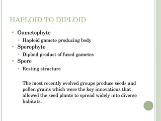 HAPLOID TO DIPLOID Gametophyte Haploid gamete producing body Sporophyte Diploid product of fused gametes Spore Resting structure The most recently evolved groups produce seeds and pollen grains which were the key innovations that allowed the seed plants to spread widely into diverse habitats. 