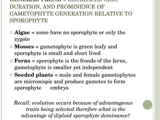 GENERAL TREND  = DECREASED SIZE, DURATION, AND PROMINENCE OF GAMETOPHYTE GENERATION RELATIVE TO SPOROPHYTE Algae  = some have no sporophyte or only the zygote Mosses  = gametophyte is green leafy and sporophyte is small and short lived Ferns  = sporophyte is the fronds of the ferns, gametophyte is smaller yet independent Seeded plants  = male and female gametophytes are microscopic and produce gametes to form sporophyte  embryo Recall: evolution occurs because of advantageous traits being selected therefore what is the advantage of diploid sporophyte dominance? 