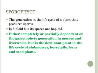 SPOROPHYTE The generation in the life cycle of a plant that produces spores. Is diploid but its spores are haploid. Either completely or partially dependent on the gametophyte generation in mosses and liverworts, but is the dominant plant in the life cycle of clubmosses, horsetails, ferns and seed plants. 
