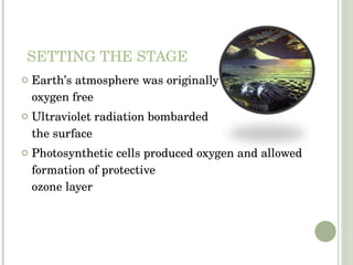 SETTING THE STAGE Earth’s atmosphere was originally oxygen free Ultraviolet radiation bombarded the surface Photosynthetic cells produced oxygen and allowed formation of protective ozone layer 