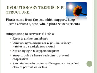   EVOLUTIONARY TRENDS IN PLANTS STRUCTURE: Plants came from the sea which support, keep temp constant, bath whole plant with nutrients Adaptations to terrestrial Life =  Roots to anchor and absorb  Conducting vessels xylem & phloem to carry nutrients up and glucose around Stiffening ligin to support the plant Waxy cuticle on leaves and stem to prevent evaporation Stomata pores in leaves to allow gas exchange, but close to prevent water loss 