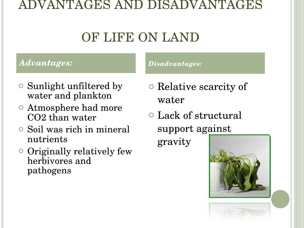 Earland Plant Evolution Trends Earland Plant Evolution Trends