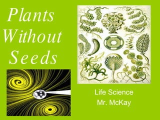 Plants  Without  Seeds Life Science Mr. McKay 