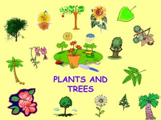 PLANTS AND TREES 