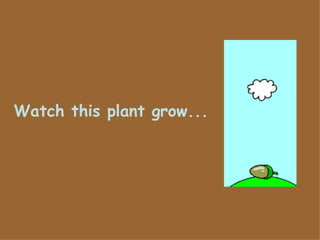 Watch this plant grow...