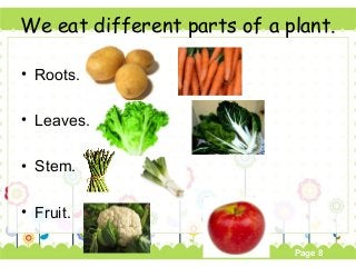 Page 8
We eat different parts of a plant.
• Roots.
• Leaves.
• Stem.
• Fruit.
 
