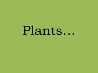 Plants… 