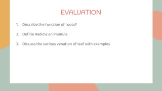 1. Describe the function of roots?
2. Define Radicle an Plumule
3. Discuss the various venation of leaf with examples
EVALUATION
 