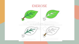 EXERCISE
 