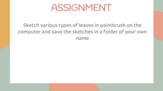 Sketch various types of leaves in paintbrush on the
computer and save the sketches in a folder of your own
name
ASSIGNMENT
 
