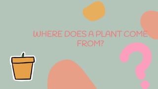 WHERE DOES A PLANT COME
FROM?
 