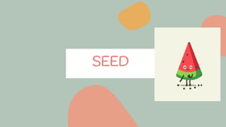 kcdSEED
 