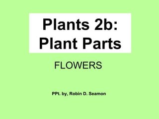 Plants 2b: Plant Parts PPt. by, Robin D. Seamon FLOWERS 