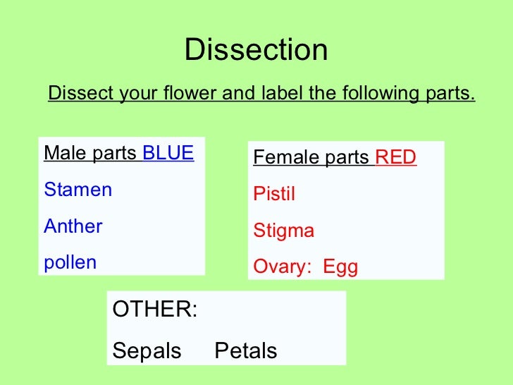 Plants2 plant parts flowers: pollination, angiosperms ... identify and label diagram of flower 