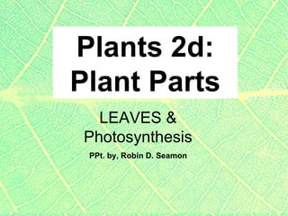 Plants 2d: Plant Parts PPt. by, Robin D. Seamon LEAVES & Photosynthesis 
