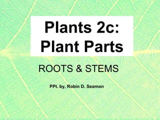Plants 2c:
Plant Parts
ROOTS & STEMS
 PPt. by, Robin D. Seamon
 