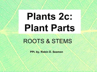 Plants 2c: Plant Parts PPt. by, Robin D. Seamon ROOTS & STEMS 