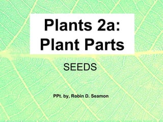 Plants 2a: Plant Parts PPt. by, Robin D. Seamon SEEDS 