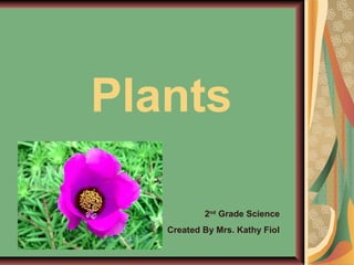 Plants
2nd
Grade Science
Created By Mrs. Kathy Fiol
 