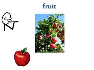 fruit
 