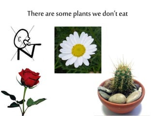 Therearesome plants wedon’t eat
 