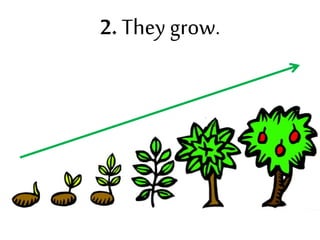 2. They grow.
 