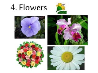 4. Flowers