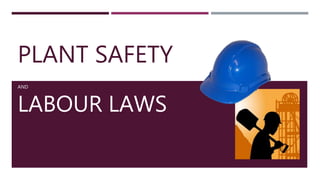 PLANT SAFETY
AND
LABOUR LAWS
 