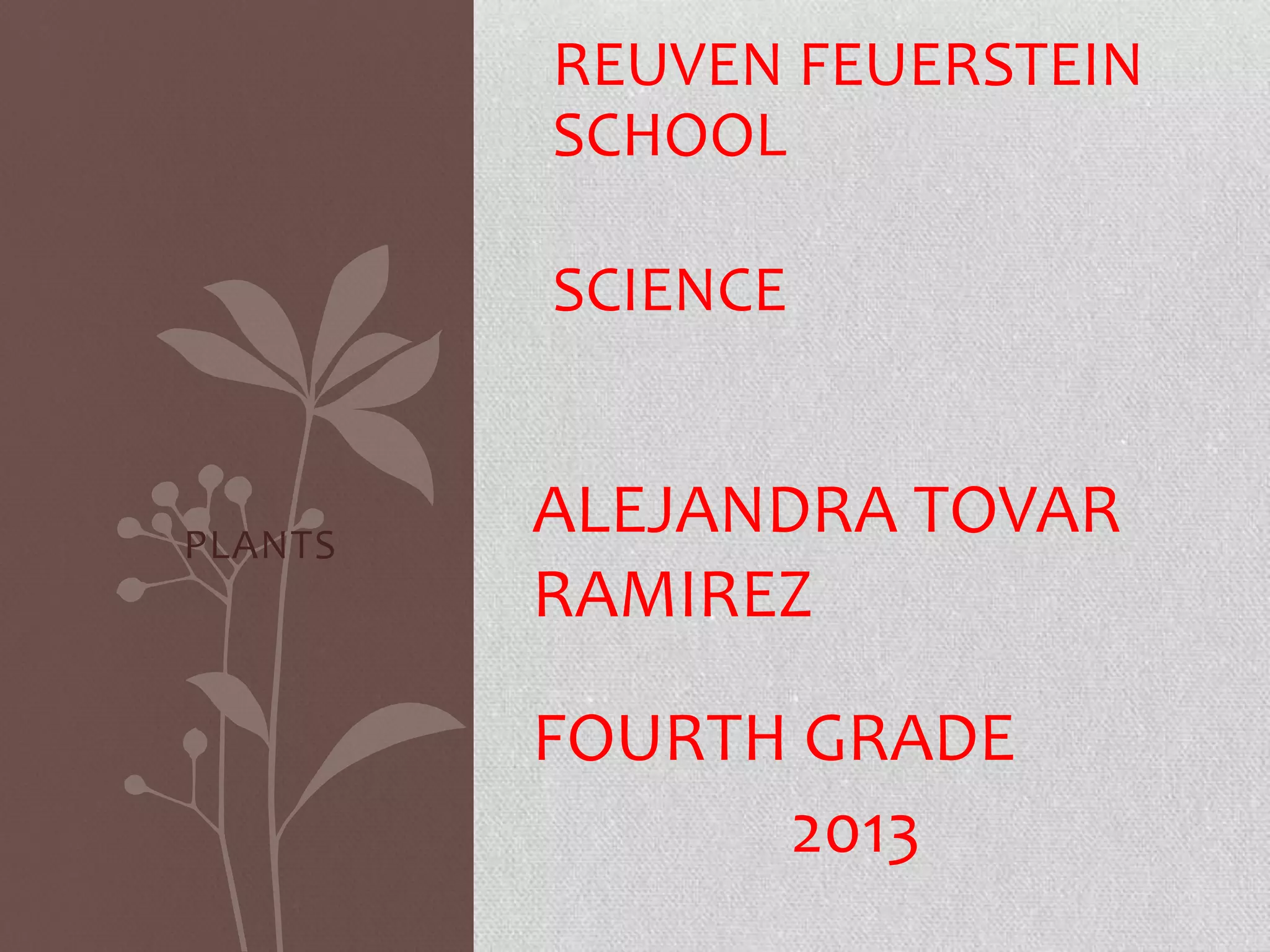 Plants alejandra tovar ramírez (1) | PPT